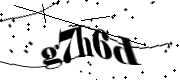 IC Web Portal Human Test